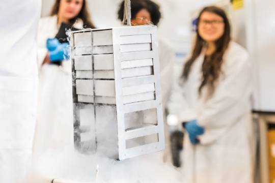 Dr. Cheryl Gomillion works with two students in her UGA lab